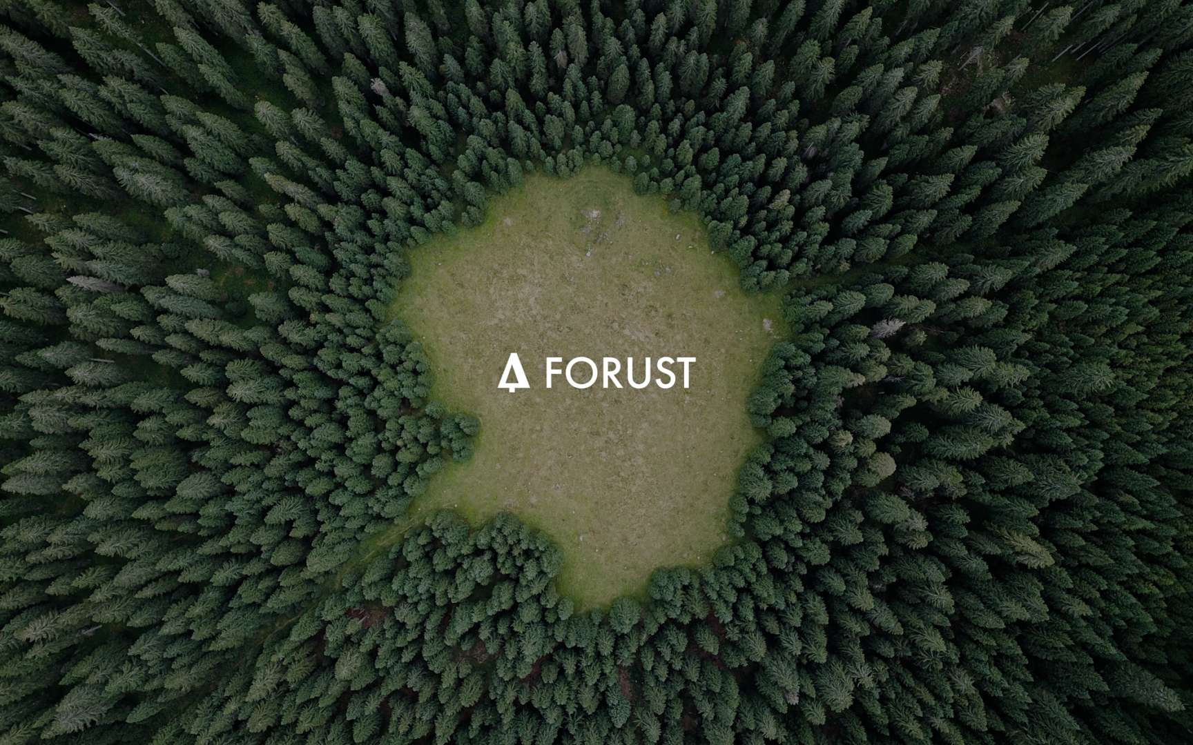 forust story